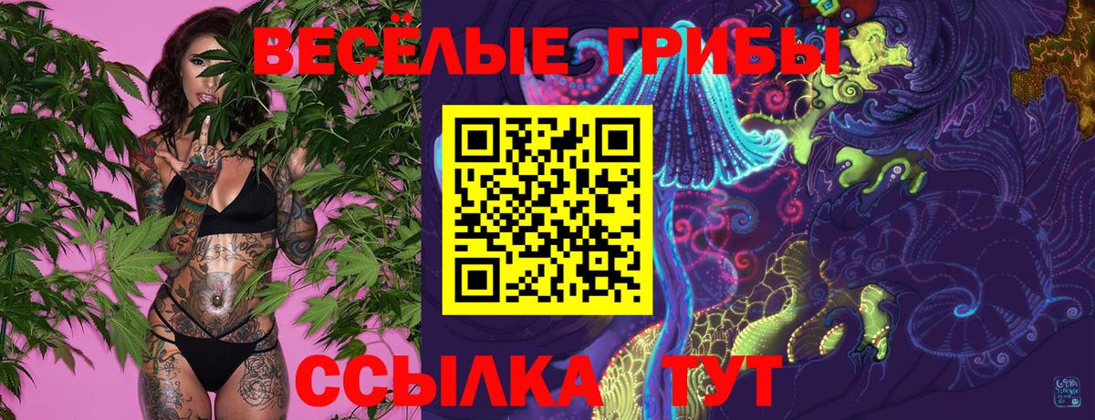 Меф кристаллы  COCAIN  Строитель  Вход с VPN  ГАШ  Марихуана 