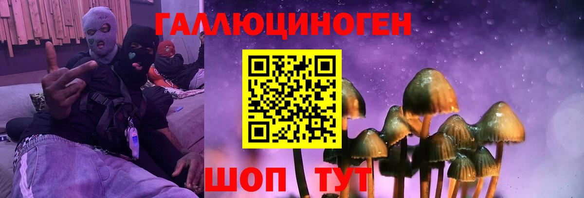 Галлюциногенные грибы Magic Shrooms  Вход с VPN  Строитель 